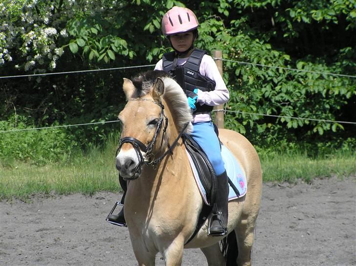 Anden særlig race Bounty *solgt* :( billede 8