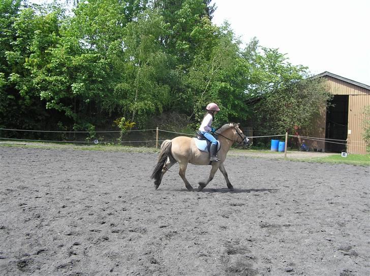 Anden særlig race Bounty *solgt* :( billede 11