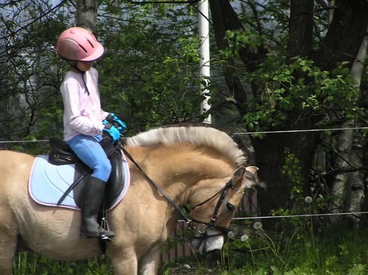 Anden særlig race Bounty *solgt* :( billede 12