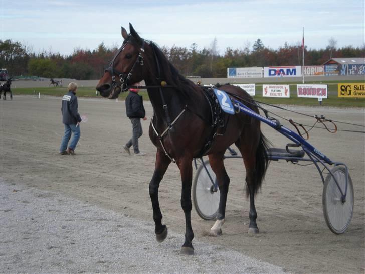 Traver JoLene T - "Line" gør sig til for kameraet efter en flot sejr!! billede 1