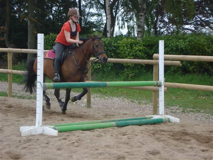 Anden særlig race fnuggi*solgt* billede 6