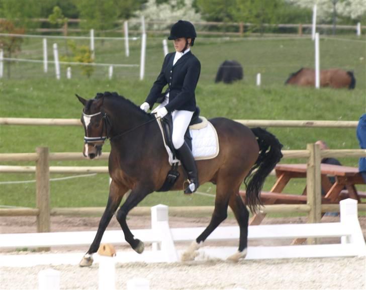 DSP Samson - PRT :D <3 billede 20