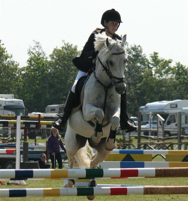 DSP STAR {b-pony} - Stævne (: billede 18