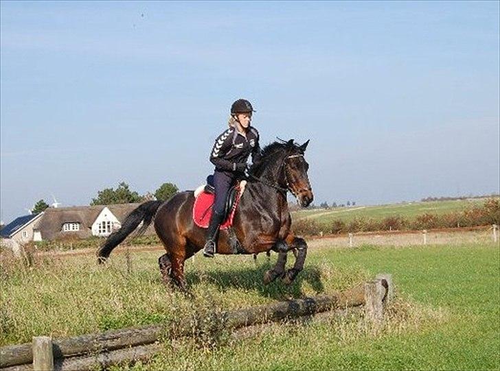 Anden særlig race Yasya <3 - 2010 billede 15