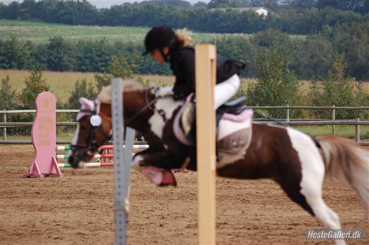 Anden særlig race Dolly - Mig&Dolly(: billede 19