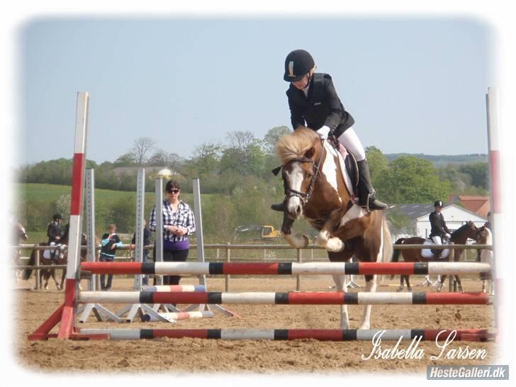 Anden særlig race Dolly - Mig&Dolly(: billede 20