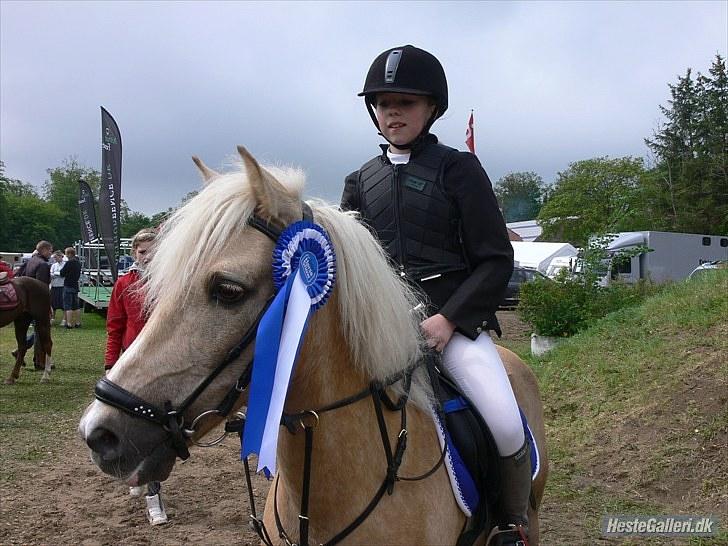 Palomino Max Motor - B-pony - SAVNET! :-( - Mig&Max til stævne i Aabenraa, vi fik en 2 plads(: - mesterfotograf: Camilla Schierff billede 8