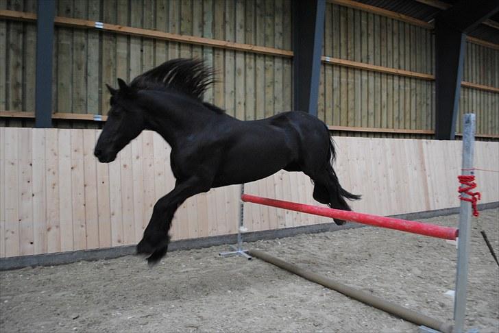 Frieser Eline Bouwkje B. - eline springer 80 cm billede 5