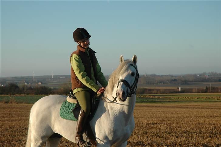 New Forest Firfod Firspring - Foto: webmoster Mette billede 12