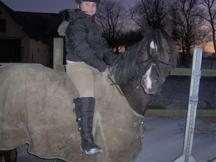 Welsh Pony (sec B) Duchess *Savnet* - Hejsa vi må jo lige sige Hej, 2 år siden nu billede 17