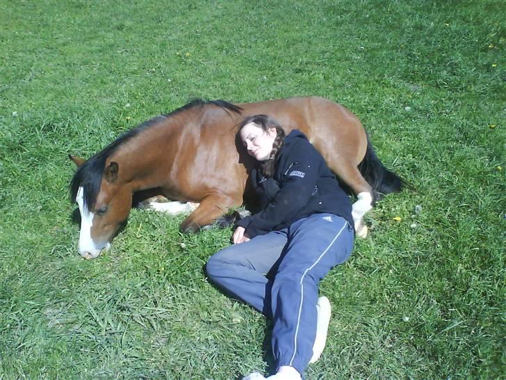 Welsh Pony (sec B) Bjerregårds Leonardo  - Leonardo og jeg som nyder solen :) billede 16