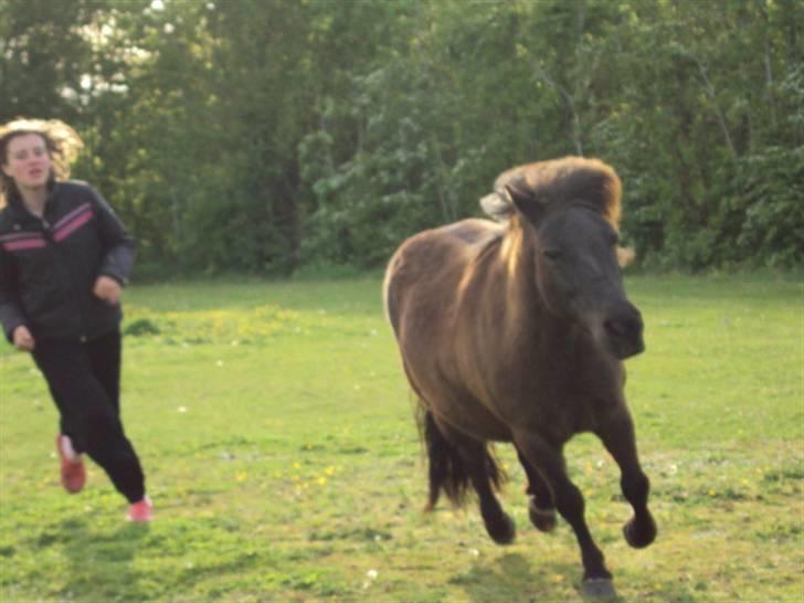 Anden særlig race ¬ PUSSI <3 - (18) Nogle gange er du lidt morsom? xD billede 18