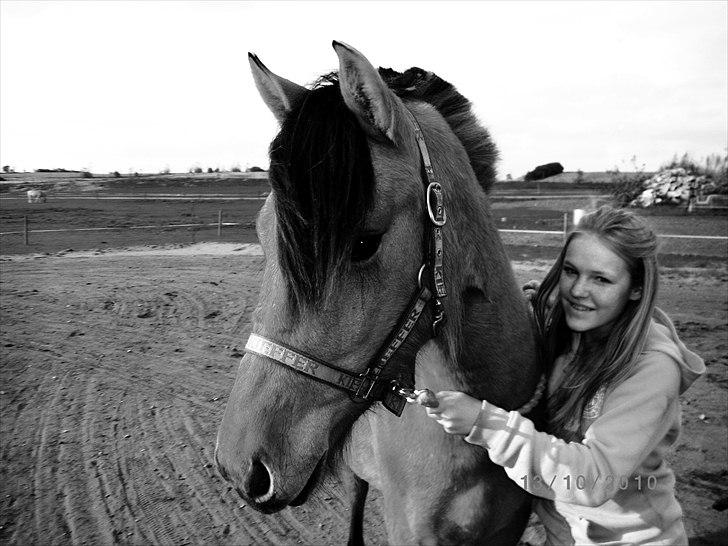 Anden særlig race Maiden - Taget D. 13 Oktober 2010 billede 5