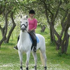 Connemara Pyrus Tidl.Pony <3