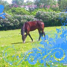 Traver My lord gardenia SOLGT :(