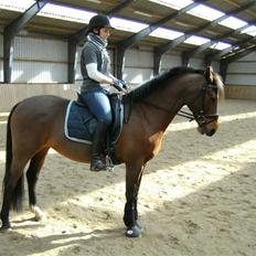 DSP Tavannah (SOLGT)