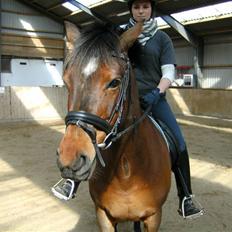 DSP Tavannah (SOLGT)