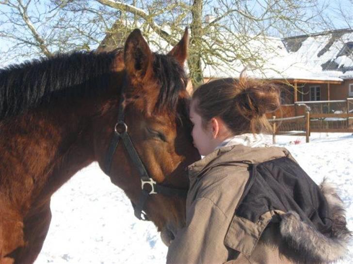 Anden særlig race Imagin Spot Morsbøl(Aflivet) billede 16