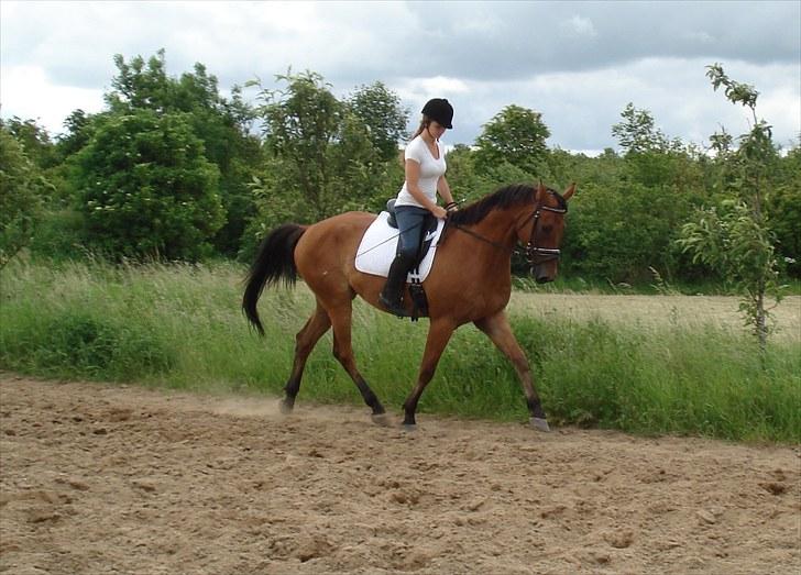 Anden særlig race Imagin Spot Morsbøl(Aflivet) - Du er så dygtig basse .. L´  billede 17