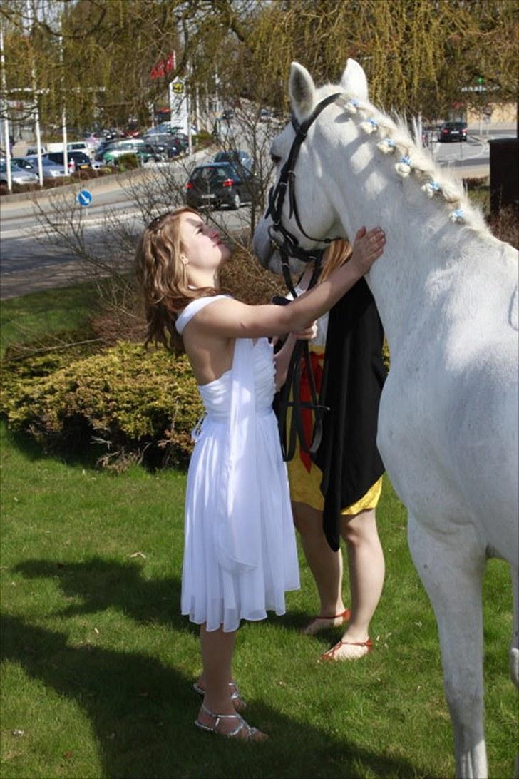 Connemara Pyrus Tidl.Pony <3 - Pylle og mig til min konfirmation. :D prins charmetrold kom op til kirken :´D billede 4
