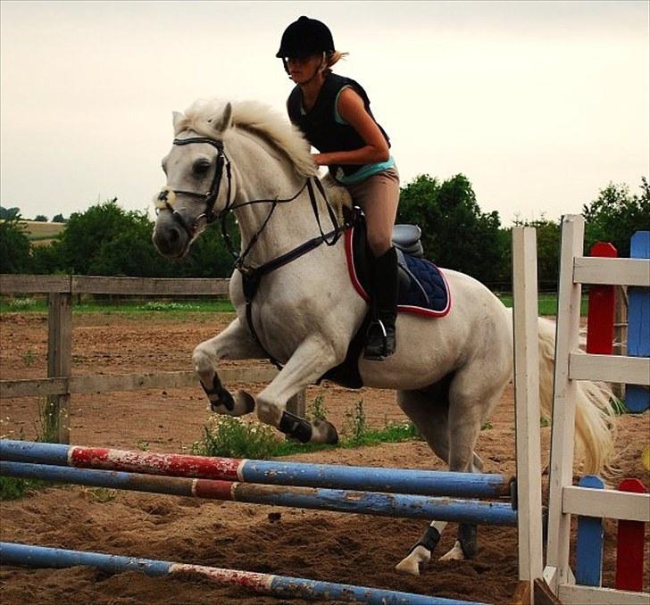 Connemara Pyrus Tidl.Pony <3 - Pylle og mig på ridelejr, 2009 :D  billede 9
