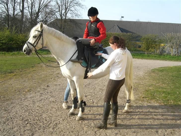 Connemara Pyrus Tidl.Pony <3 - første gang jeg nogensinde sidder på min skønhed ! MAGI I LUFTEN!<33 billede 20