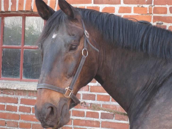 Oldenborg Aude - Jamen hej sexy.. (: billede 5