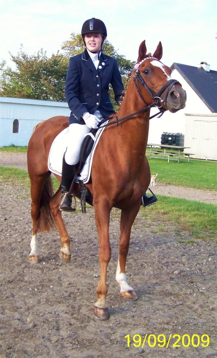 DSP Simone - Velkommen til Simones Profil, læg meget gerne en kommentar, og bedøm xD billede 1