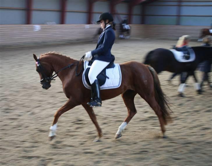 DSP Simone - Charlotte rider billede 3