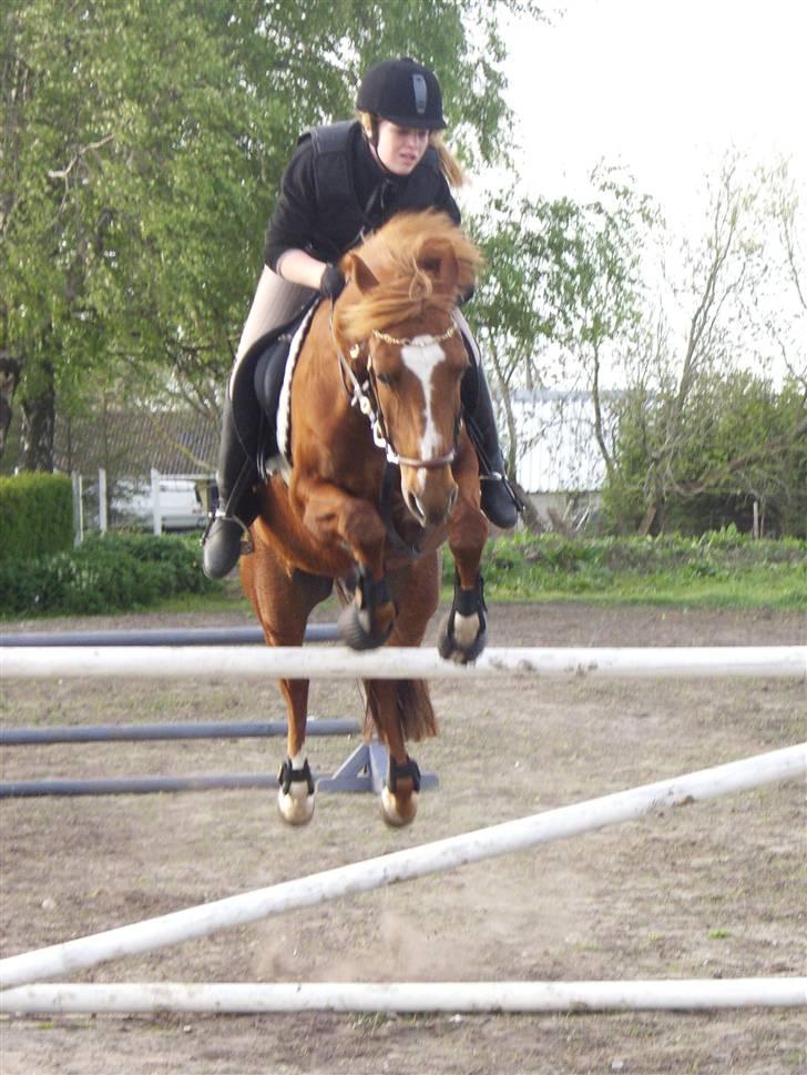 DSP Simone - Charlotte rider billede 5