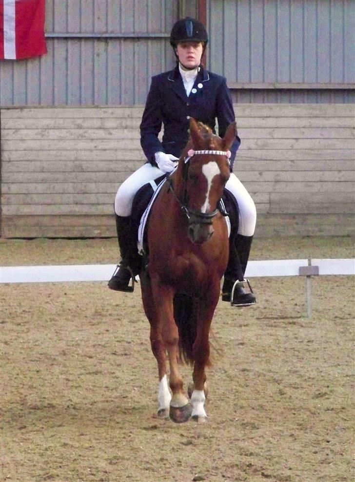 DSP Simone - Charlotte rider billede 6