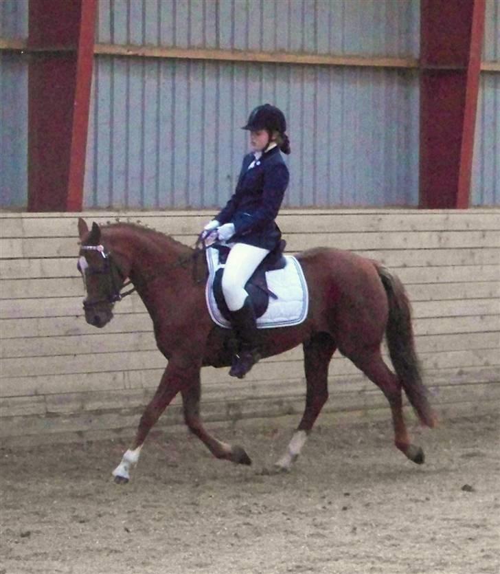 DSP Simone - Charlotte rider billede 8