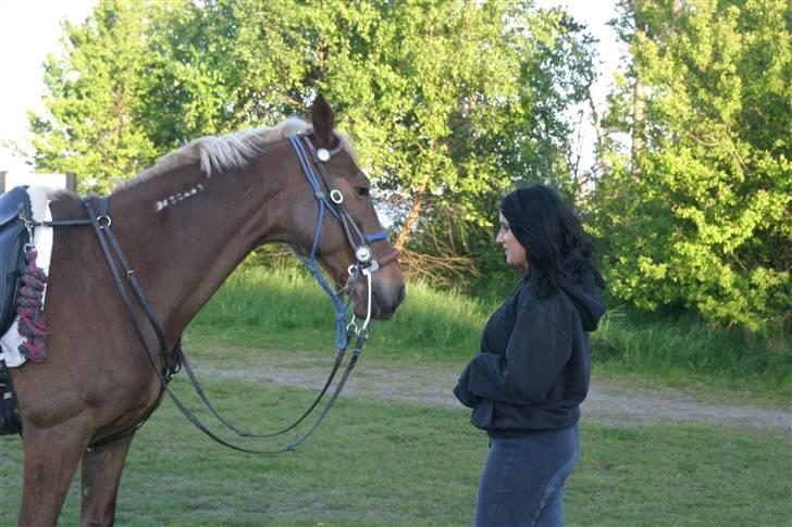 Traver Aka Lendalund billede 13