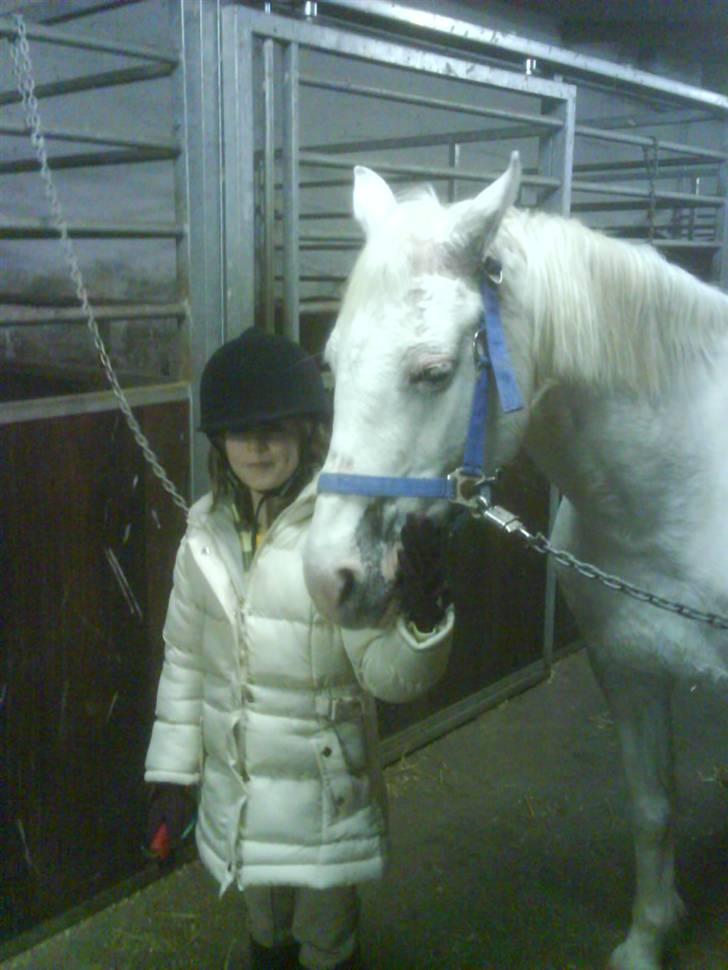 Anden særlig race KOOR's Bianca <3 - S M I L :D - foto: min mor. billede 5