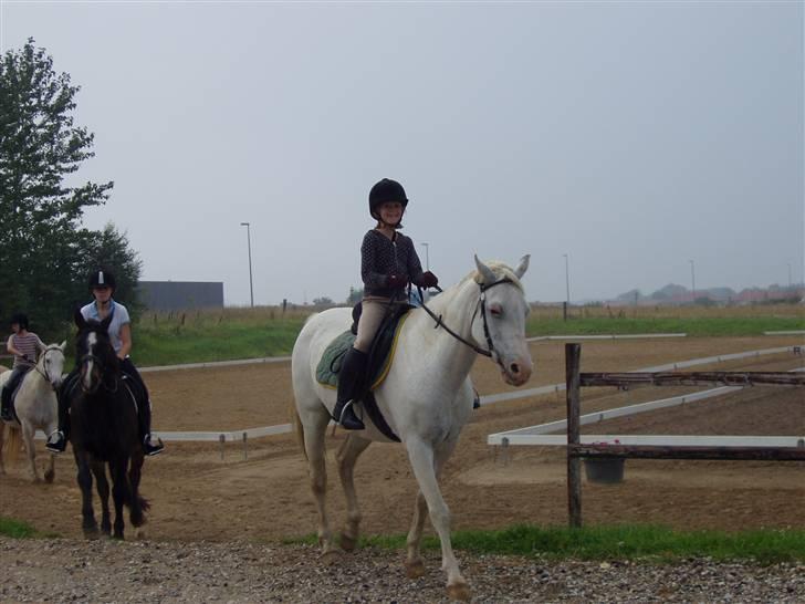 Anden særlig race KOOR's Bianca <3 - På gårdspladsen - foto: min mor. billede 11