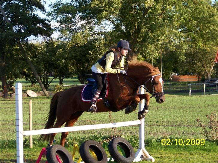 DSP Simone - Jeg rider billede 13