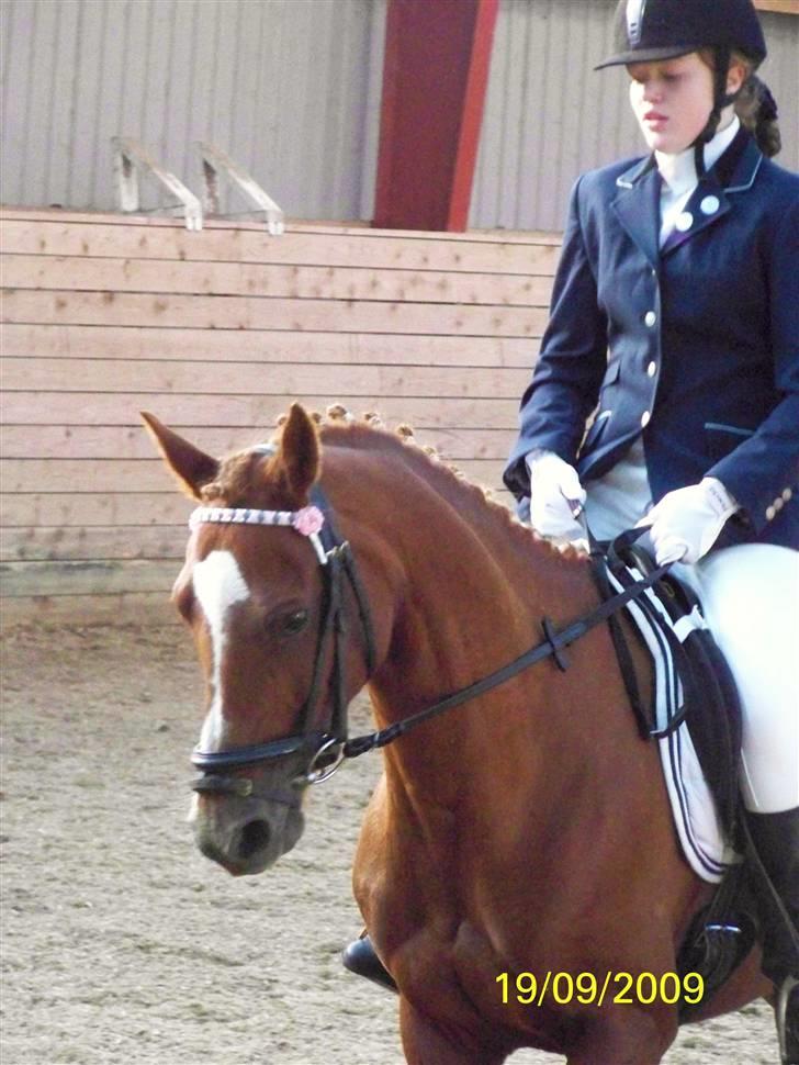 DSP Simone - Charlotte rider billede 14