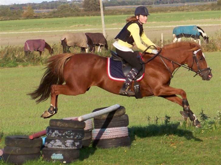 DSP Simone - Jeg rider billede 15