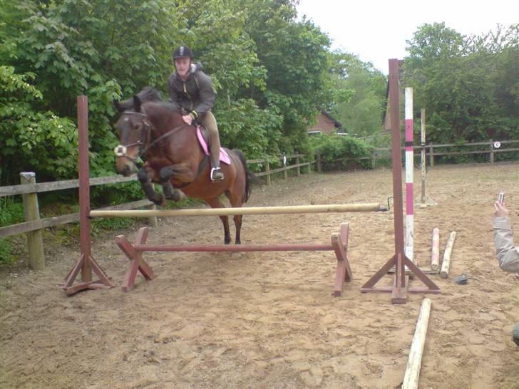 Anden særlig race Bertha <3 R.I.P :'z - Andreas & Bertha - elegant over 80 cm :D I er det bedste jeg ved! NB: 3 GANG ANDREAS OVERHOVED SIDDER PÅ EN HEST, SÅ INGEN TRÆLSE KOMENTARER TAK! billede 5