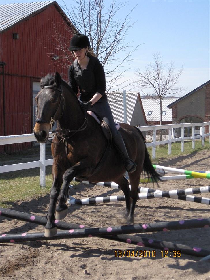 Anden særlig race Bertha <3 R.I.P :'z - Vores sidste spring time sammen, hun var virkelig flyvende den dag, de bedste minder :-* <3 billede 7