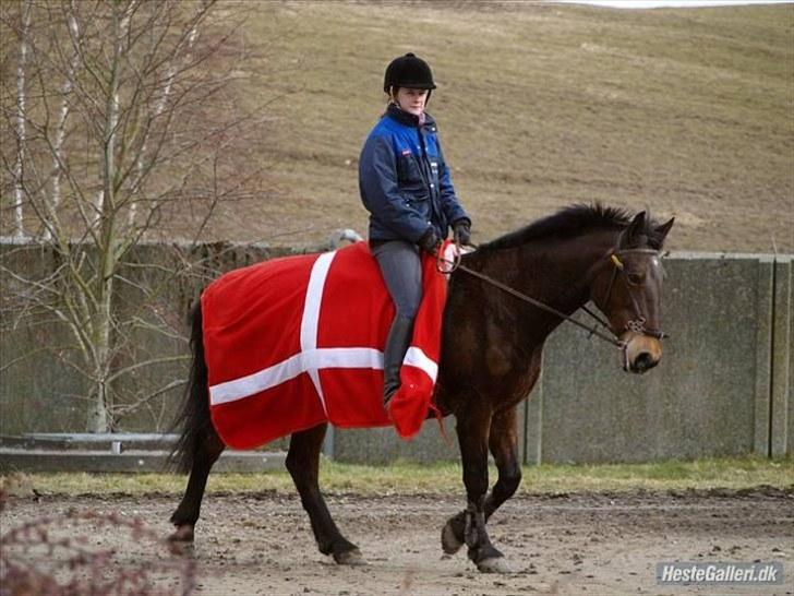 Anden særlig race Bertha <3 R.I.P :'z - "Min Engel, min engel, min engel, for evigt, for evigt, for evigt, jeg elsker, jeg elsker, jeg elsker KUN DIG" - Farvel min engen :´z Savner dig så utroligt meget min pige <3 billede 9