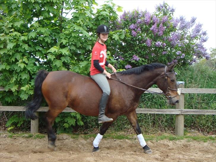 Anden særlig race Bertha <3 R.I.P :'z - "Alle kan se du er med mig, jeg er så fucking stolt" - Du forstod altid at gøre mig glad <3 billede 14