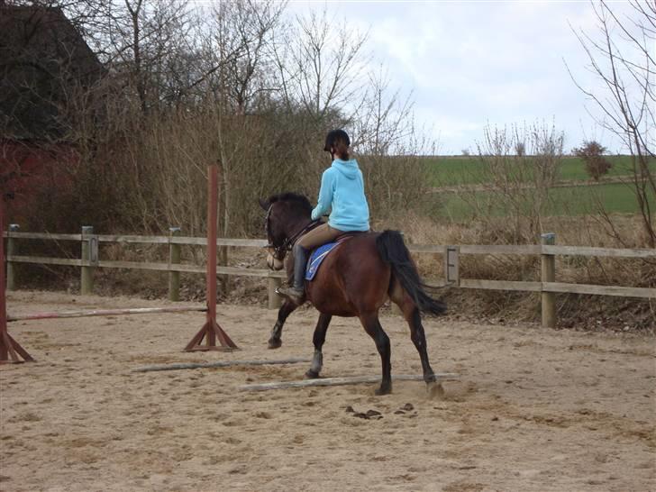 Anden særlig race Bertha <3 R.I.P :'z - Bertha - også kaldet damp hesten [; <3 Det vi havde var unikt ! <3 billede 16