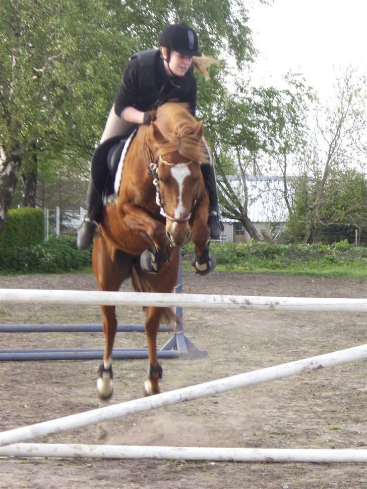 DSP Simone - Charlotte rider billede 16