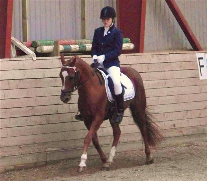 DSP Simone - Charlotte rider billede 17