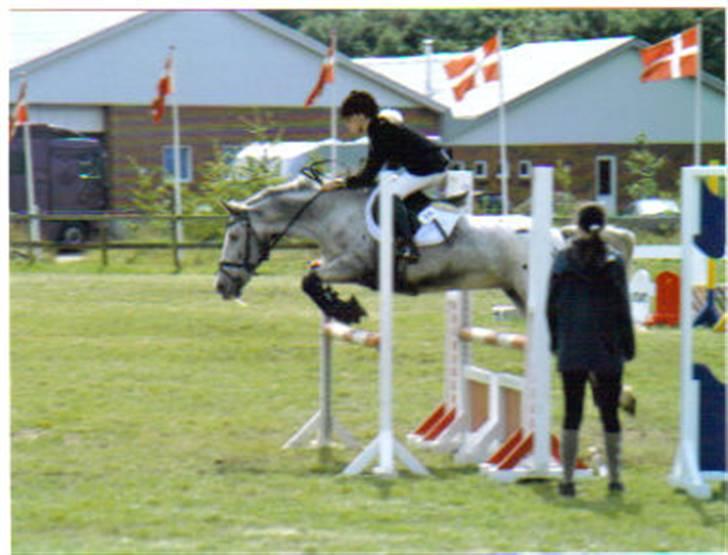 Anden særlig race Mr. Pegasus - hans mor og mig! billede 15