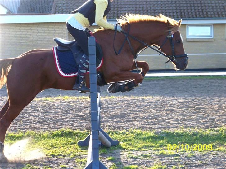 DSP Simone - Jeg rider billede 20