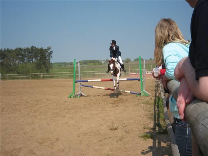 Pinto Zwier <3<3 -solgt :( - Stævne på VBR. LB, D.2/5-09 billede 20