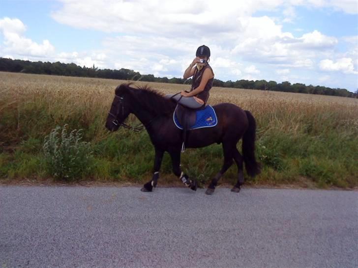 Islænder Sliepnir<3 R.I.P :'( - mig og slippy på vej hjem fra tur med sarah<3 billede 14