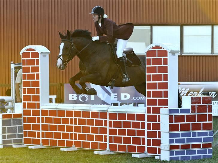 Dansk Varmblod Le´ Quick - Solrød Hestival 2008 billede 7